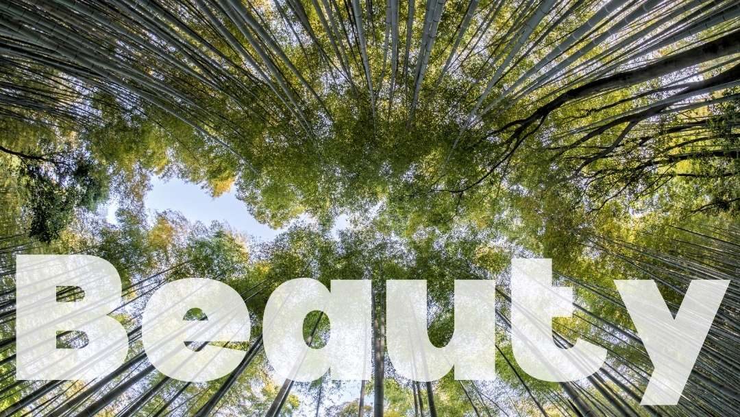 Grateful for Beauty: Episode 45