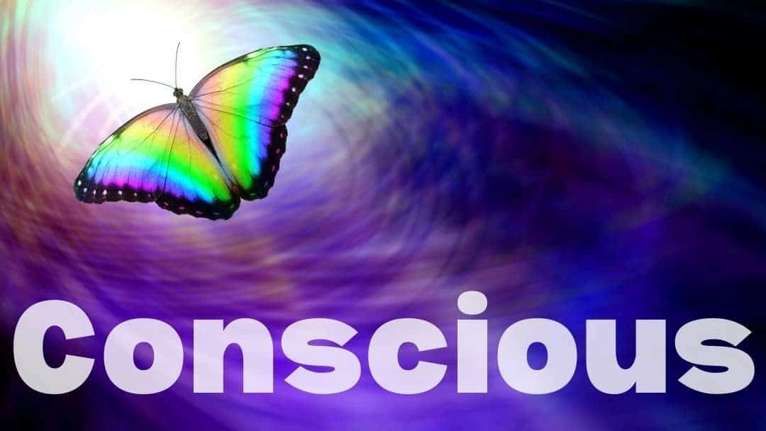 Passion for Consciousness: Episode 66