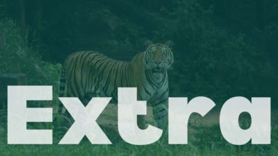 A Little Bit Extra: Episode 134