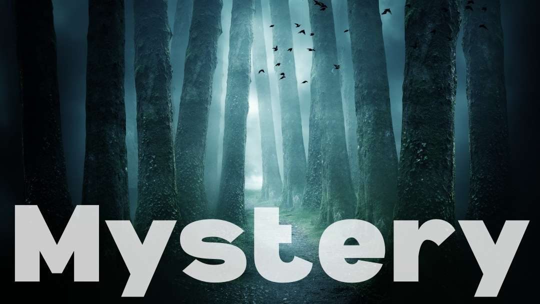 Lost in the Mystery: Episode 146