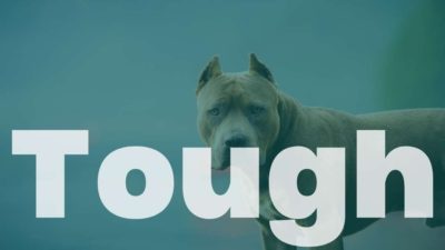 As Tough As The World Is: Episode 168