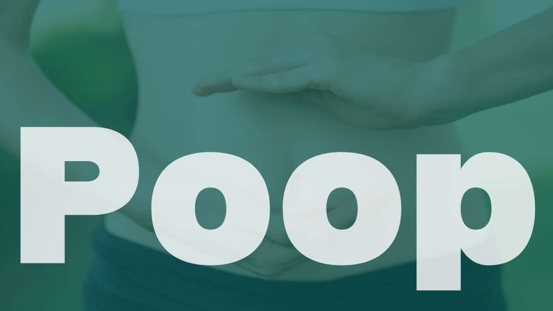 The Metaphysical Meaning of Poop: Episode 210