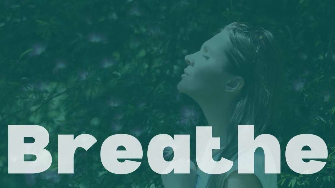 Breathe: Episode 365